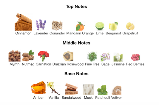 CALVIN KLE#N OBSESSION