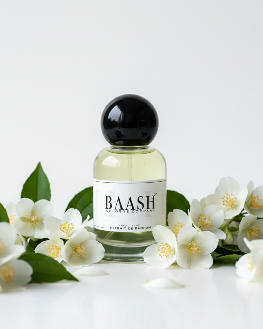 JASMINE ABSOLUTE