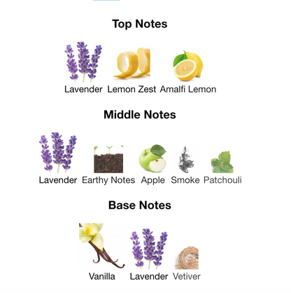 PACO ROBA#NE PHANTOM