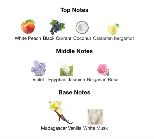 MANC#RA BLACK VANILLA