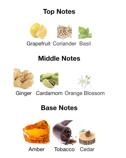 DOLCE & GAB#ANA THE ONE FOR MEN