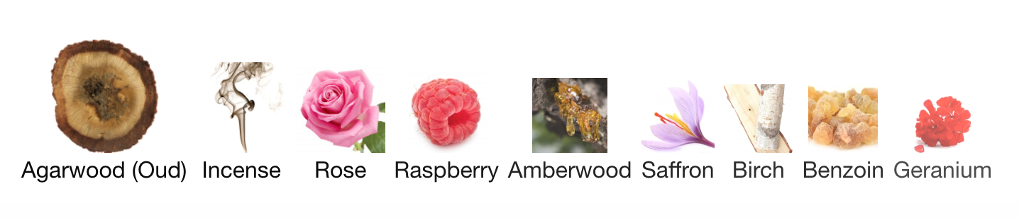 LOUIS VUIT#ON OMBRE NOMADE