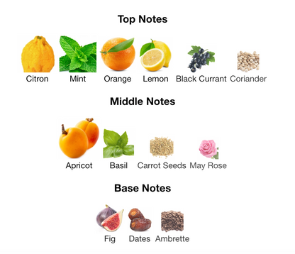 LOUIS VUIT#ON PACIFIC CHILL