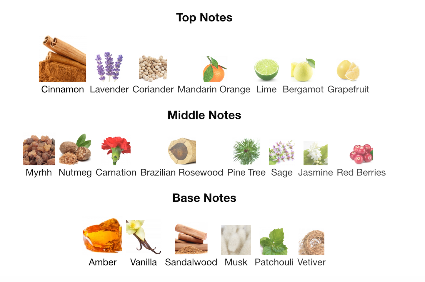 CALVIN KLE#N OBSESSION