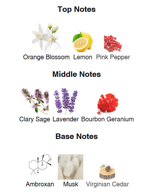 VERSC#E MAN EAU FRAICHE